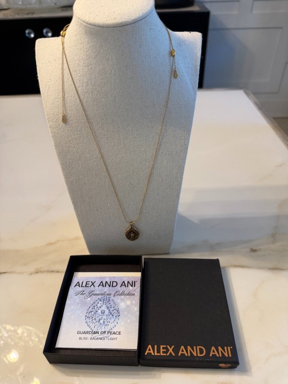 Alex and Ani The Guardian Collection “Guardian of Answers” necklace